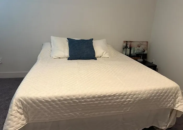 Apartment Experience The Of Worth Stylish In The Cultural District Fort Worth