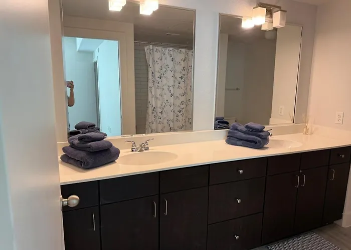 Apartment Experience The Of Worth Stylish In The Cultural District Fort Worth